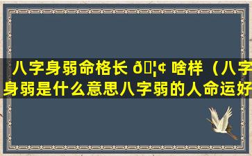 八字身弱命格长 🦢 啥样（八字身弱是什么意思八字弱的人命运好不好）